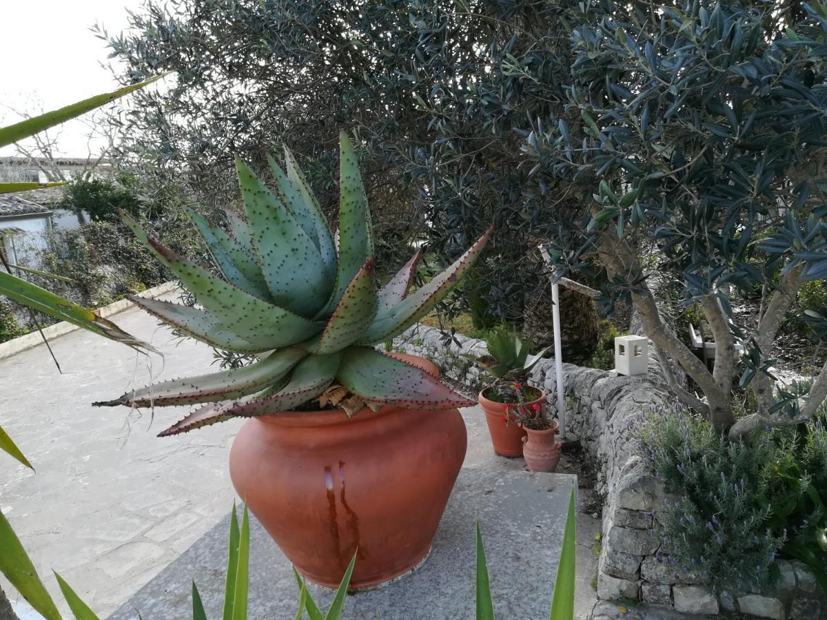 Casa Degli Avi Don Neli, Immersa Nella Natura Modica Kültér fotó