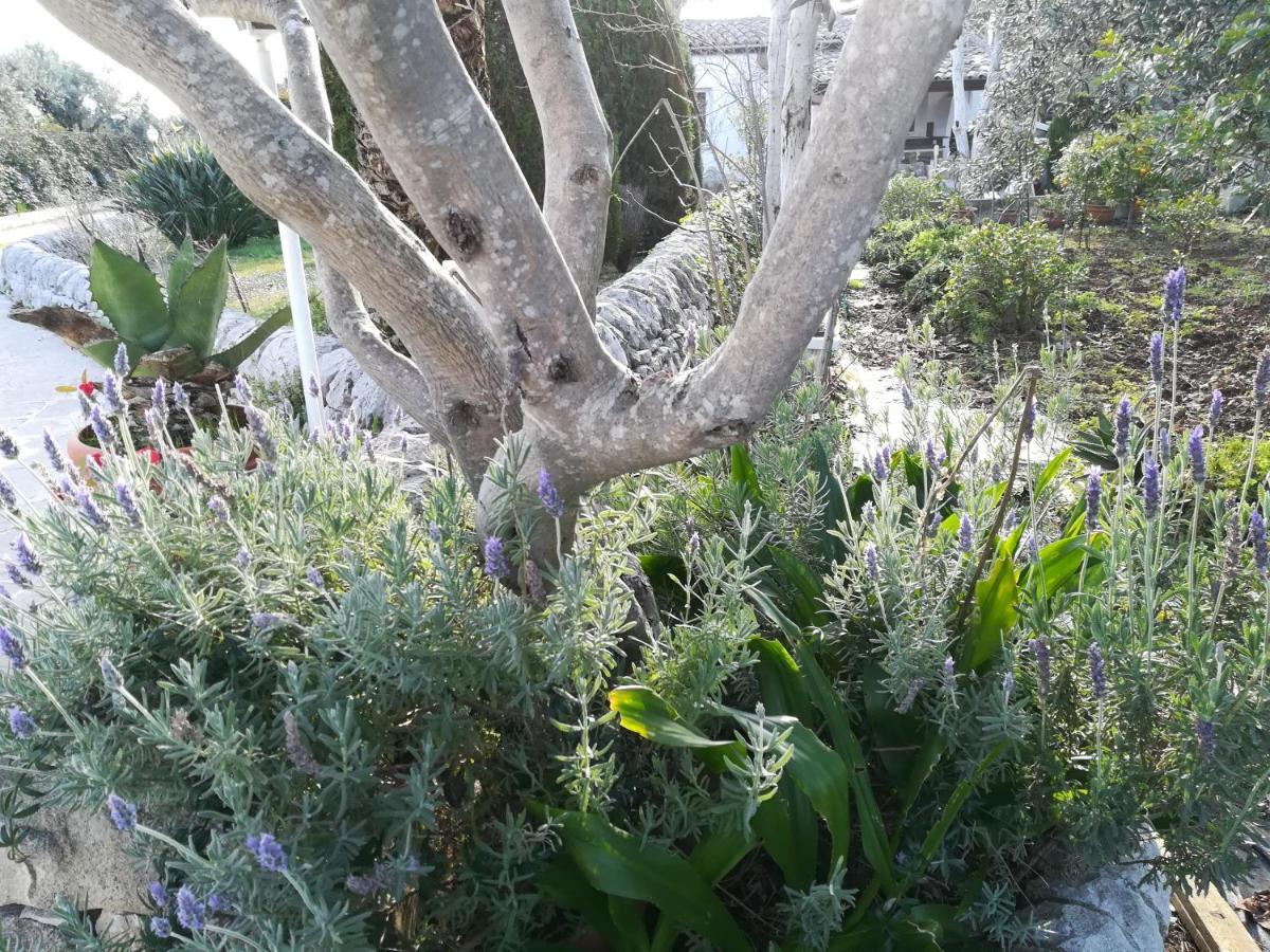 Casa Degli Avi Don Neli, Immersa Nella Natura Modica Kültér fotó