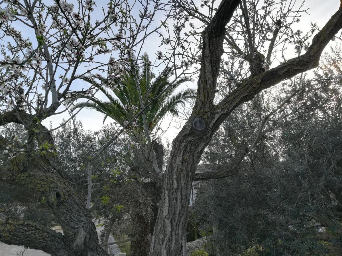Casa Degli Avi Don Neli, Immersa Nella Natura Modica Kültér fotó